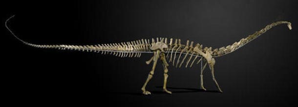 Dinossauro é vendido por 1,5 milhão de reais