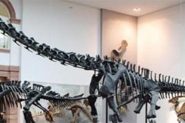 esqueleto dinossauro londres